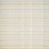 Ultra Soft Area Rug, Non Slip, Stain Resistant, Washable Area Rugs for Living Room, Bedroom, Luxurious Creamy Shagged Surface Style(Beige)