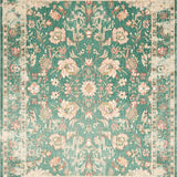 Ultra Soft Area Rug, Non Slip, Stain Resistant, Washable Area Rugs for Living Room, Bedroom, Serene Sage Area Green Beige Distressed(Green)