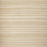 Chic Minimalist Creamy Palette(Beige)