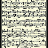 Ultra Soft Area Rug, Non Slip, Stain Resistant, Washable Area Rugs for Living Room, Bedroom, Eclectic Vintage Music Notes Motif(Black)