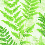 Contemporary Fluffy Green Statement(Green)