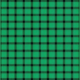 Elegant Reversible Plaid Aesthetic(Green)