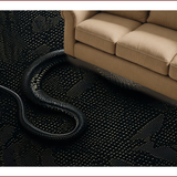 Ultra Soft Area Rug, Non Slip, Stain Resistant, Washable Area Rugs for Living Room, Bedroom, Gothic Snake Print(Black)
