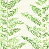 Gentle Cozy Sage Design(Green)