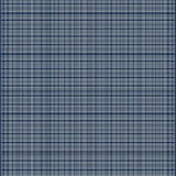 Charming Country Style Gingham Accent(Blue)