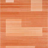 Ultra Soft Area Rug, Non Slip, Stain Resistant, Washable Area Rugs for Living Room, Bedroom, Elegant Minimalist Earthy Palette(Orange)