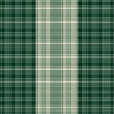 Contemporary Warm Plaid Texture(Green)