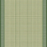 Ultra Soft Area Rug, Non Slip, Stain Resistant, Washable Area Rugs for Living Room, Bedroom, Rustic Vintage Striped Elegance(Green)