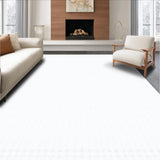 Ultra Soft Area Rug, Non Slip, Stain Resistant, Washable Area Rugs for Living Room, Bedroom, Vibrant Textured Leopard Style Piece(White)