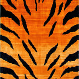 Ultra Soft Area Rug, Non Slip, Stain Resistant, Washable Area Rugs for Living Room, Bedroom, Vibrant Exotic Patterned Textiles(Orange)