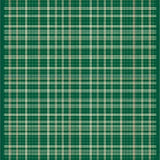 Coastal Vibe Green Plaid Motif(Green)