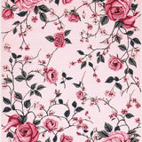 Ultra Soft Area Rug, Non Slip, Stain Resistant, Washable Area Rugs for Living Room, Bedroom, Playful Flower Petal Arrangement(Pink)