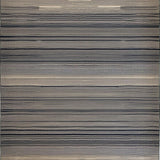 Ultra Soft Area Rug, Non Slip, Stain Resistant, Washable Area Rugs for Living Room, Bedroom, Contemporary Urban Zebra Print Accent(Beige)