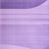 Ultra Soft Area Rug, Non Slip, Stain Resistant, Washable Area Rugs for Living Room, Bedroom, Elegant Shaggy Contemporary Look(Purple)