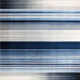 Ultra Soft Area Rug, Non Slip, Stain Resistant, Washable Area Rugs for Living Room, Bedroom, Contemporary Ombre Area Rug Design(Blue)
