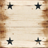 Ultra Soft Area Rug, Non Slip, Stain Resistant, Washable Area Rugs for Living Room, Bedroom, Rustic Texas Star Area Rug with Vintage Western Wood Panel Design(Beige)