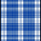 Cozy Gingham Patterned Delight(Blue)