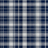 Artful Blue and Beige Fusion(Blue)