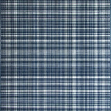 Contemporary Earthy Tones(Blue)