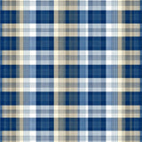 Dynamic Earth Tone Striped Appeal(Blue)