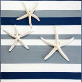 Minimalist Grey Striped Artistry(Blue)