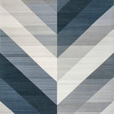 Ultra Soft Area Rug, Non Slip, Stain Resistant, Washable Area Rugs for Living Room, Bedroom, Stylish Subtle Ombre Design(Gray)