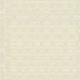 Ultra Soft Area Rug, Non Slip, Stain Resistant, Washable Area Rugs for Living Room, Bedroom, Woven Linear Area Boho Inspired Non Slip Entryway(Beige)