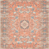 Ultra Soft Area Rug, Non Slip, Stain Resistant, Washable Area Rugs for Living Room, Bedroom, Vibrant Seal Pattern Aesthetic(Orange)