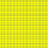 Ultra Soft Area Rug, Non Slip, Stain Resistant, Washable Area Rugs for Living Room, Bedroom, Elegant Layered Trellis Look(Yellow)