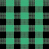 Charming Two Tone Checkered Elegance(Green)