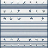 Ultra Soft Area Rug, Non Slip, Stain Resistant, Washable Area Rugs for Living Room, Bedroom, Rustic Marine Inspired Striped Charm(Blue)