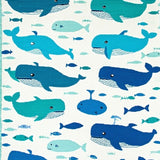 Lively Aqua & White Contrast(Blue)