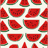 Ultra Soft Area Rug, Non Slip, Stain Resistant, Washable Area Rugs for Living Room, Bedroom, Vibrant Cheerful Watermelon Aesthetic(Red)