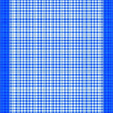 Vibrant Seasonal Checkerboard Look(Blue)