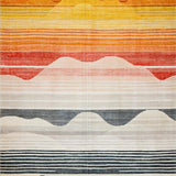 Ultra Soft Area Rug, Non Slip, Stain Resistant, Washable Area Rugs for Living Room, Bedroom, Trendy Modern Rainbow Palette(Orange)
