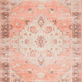 Ultra Soft Area Rug, Non Slip, Stain Resistant, Washable Area Rugs for Living Room, Bedroom, Chic Distressed Botanical Art(Pink)