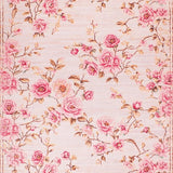 Ultra Soft Area Rug, Non Slip, Stain Resistant, Washable Area Rugs for Living Room, Bedroom, Soft Pastel Minimalist Aesthetic(Pink)