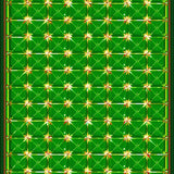 Playful Gold Coin Accents(Green)