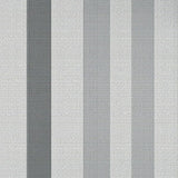 Refined Transitional Monochrome Look(Gray)