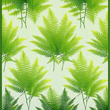 Chic Shag Circular Elegance(Green)