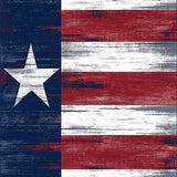 Ultra Soft Area Rug, Non Slip, Stain Resistant, Washable Area Rugs for Living Room, Bedroom, Rustic Vintage Flag Design(Red)