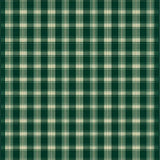 Earthy Multi Tonal Cozy Design(Green)