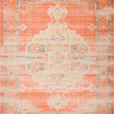 Ultra Soft Area Rug, Non Slip, Stain Resistant, Washable Area Rugs for Living Room, Bedroom, Chic Distressed Earthy Aesthetic(Orange)