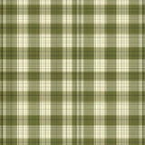 Elegant Minimalist Hexagon Arrangement(Green)