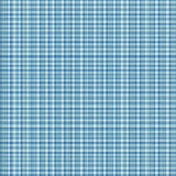 Airy Plaid Fusion(Blue)