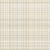 Elegant Neutral Geometric Overlay(Beige)