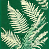 Lively Multi Tonal Flair(Green)