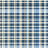 Ultra Soft Area Rug, Non Slip, Stain Resistant, Washable Area Rugs for Living Room, Bedroom, Subtle Tartan Elegance in Blue(Yellow)