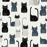 Ultra Soft Area Rug, Non Slip, Stain Resistant, Washable Area Rugs for Living Room, Bedroom, Cute Gray Cat Illustration Style(Black)