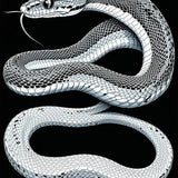 Urban Modern Serpent Style Statement(Gray)